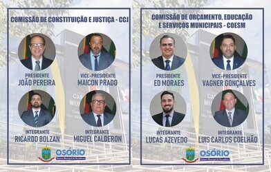 comissoes-permanentes-do-legislativo-iniciam-reunioes-na-proxima-semana