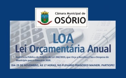 audiencia-publica-loa
