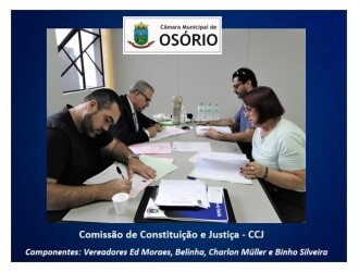 comissao-de-constituicao-e-justica-da-camara