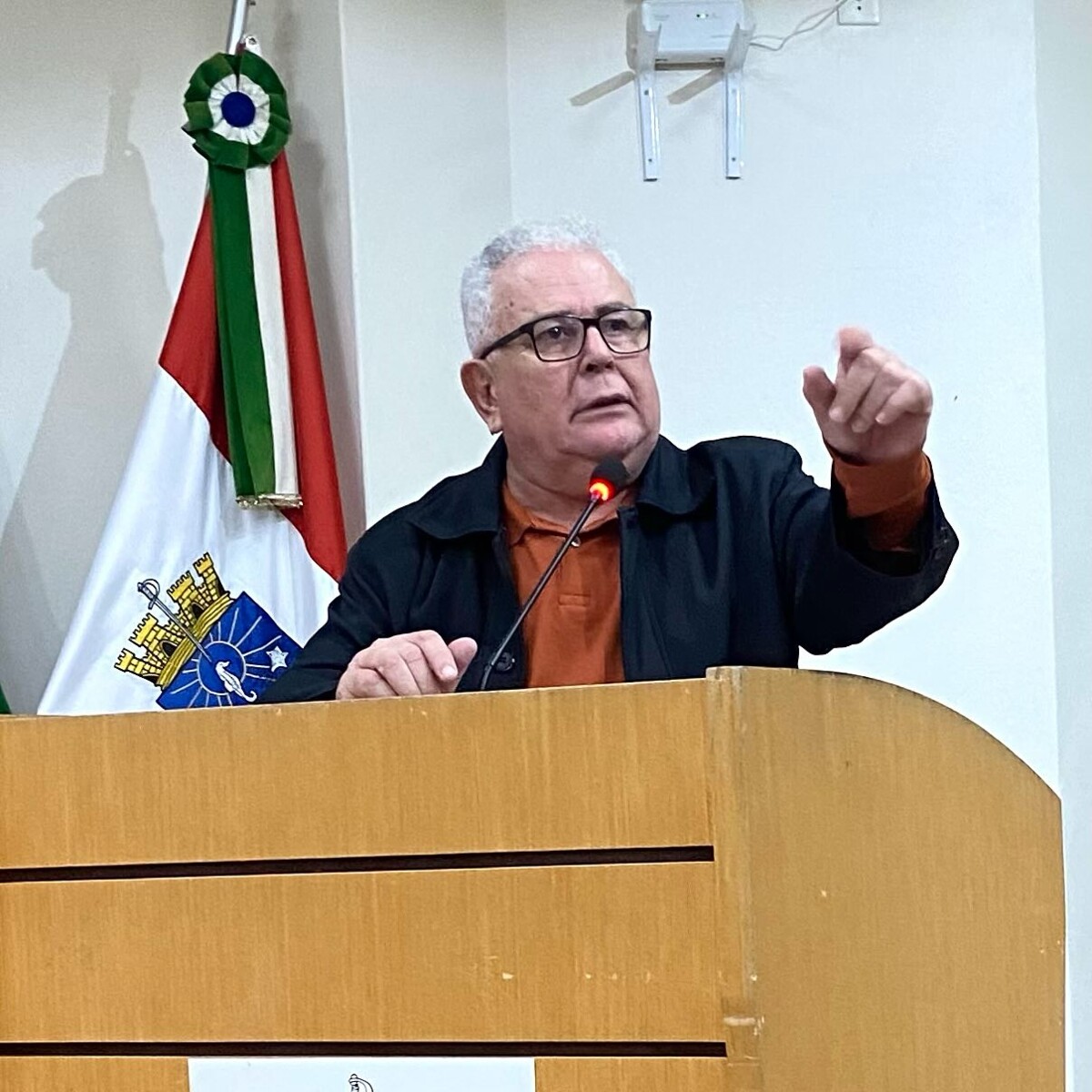 ➡ Vereadores aprovaram dois projeto de lei em sessão ordinária 2.jpg