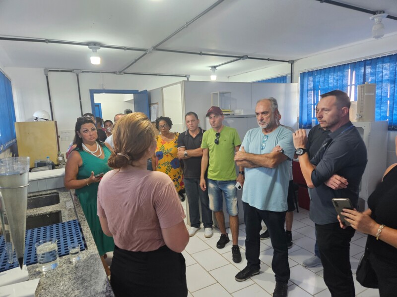 Demonstração de como ocorre o trabalho das análises.jpg