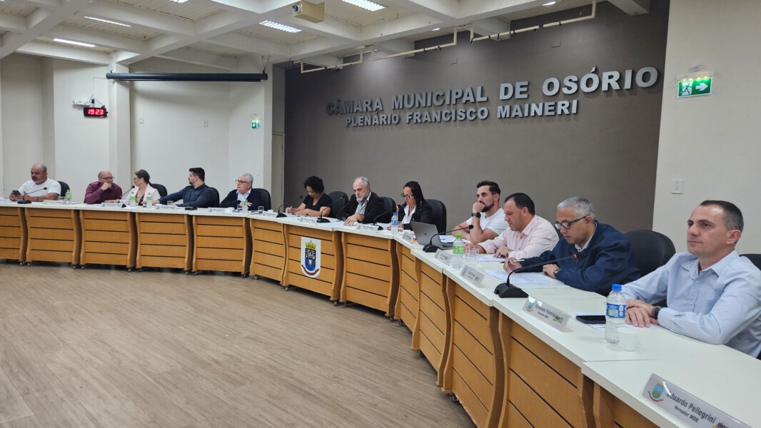 camara-de-osorio-aprova-projeto-que-garante-atendimento-prioritario-para-pessoas-com-sindrome-de-down