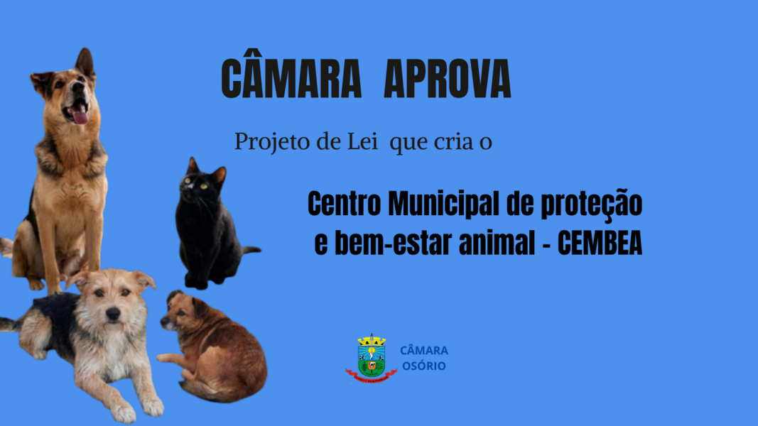 camara-de-vereadores-aprova-por-unanimidade-projeto-que-cria-o-centro-municipal-de-protecao-e-bem-estar-animal